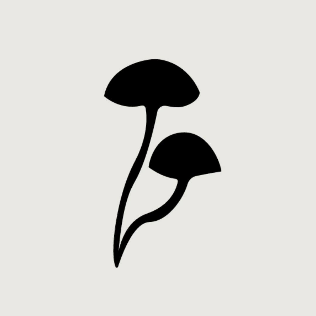 Auri Nutrition Coupons and Promo Code